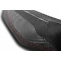 LUIMOTO GP ITALIA Passenger Seat Cover for DUCATI PANIGALE V4 (2025+) LUIMOTO GP ITALIA Passenger Seat Cover for DUCATI PANIGALE V4 (2025+)